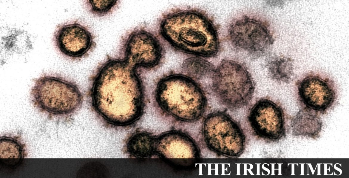 Coronavirus: Community transmission now main cause of Irish cases