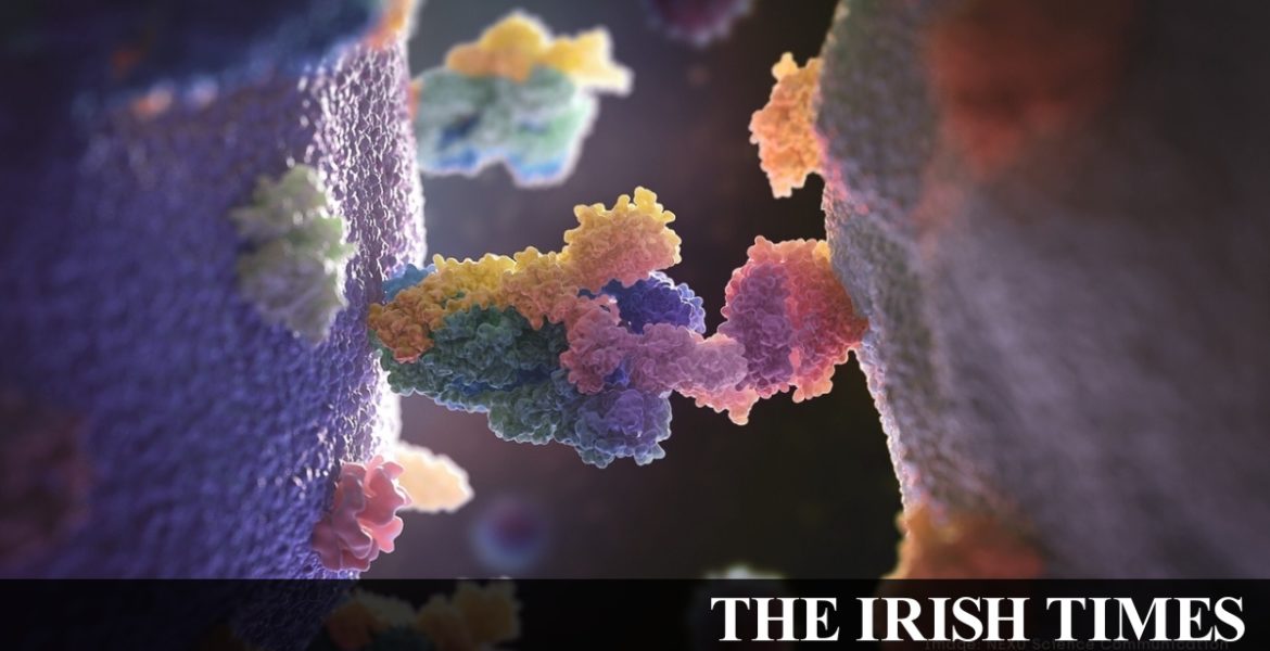 Coronavirus -19 die this summer?