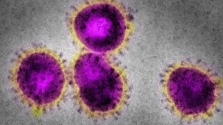 Why are 25% of confirmed Covid-19 cases health workers?