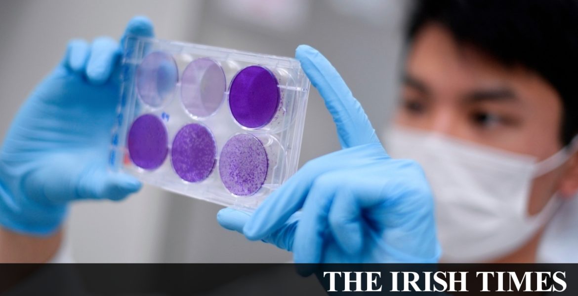 Tuberculosis vaccine ‘potential game-changer’ in Covid-19 fight