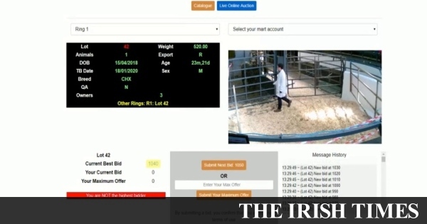 Ireland’s first virtual cattle mart is held amid coronavirus restrictions