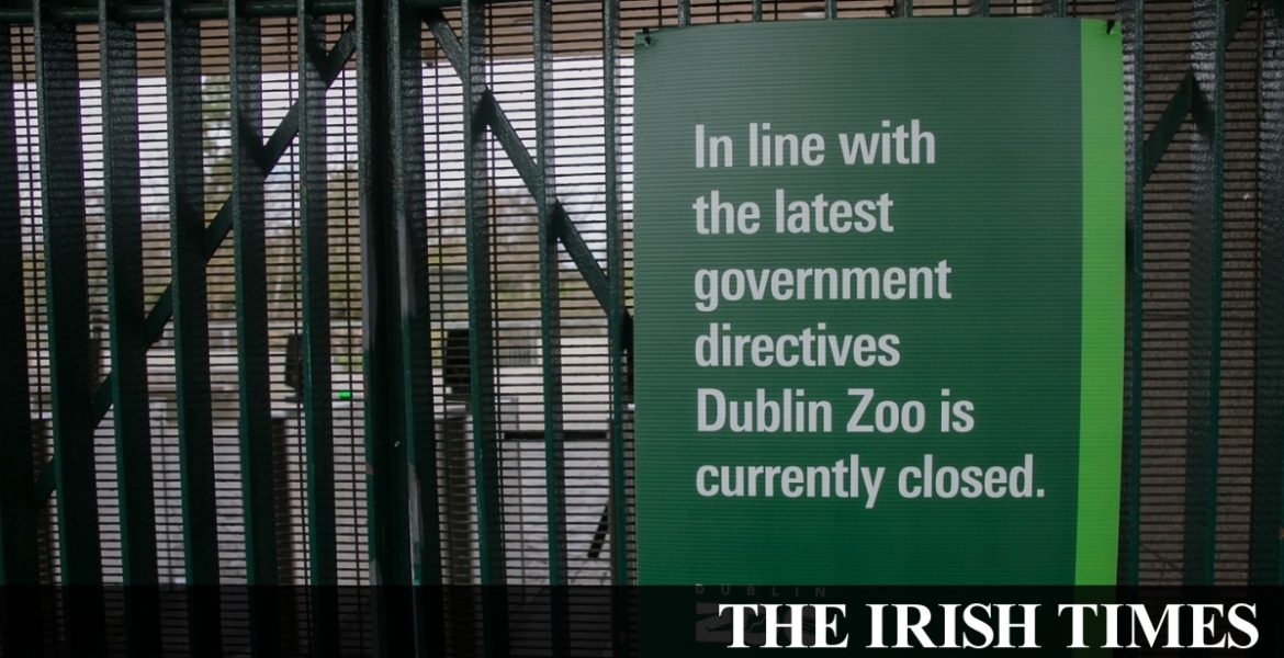 Coronavirus: Dublin Zoo says keepers are social distancing from its animals