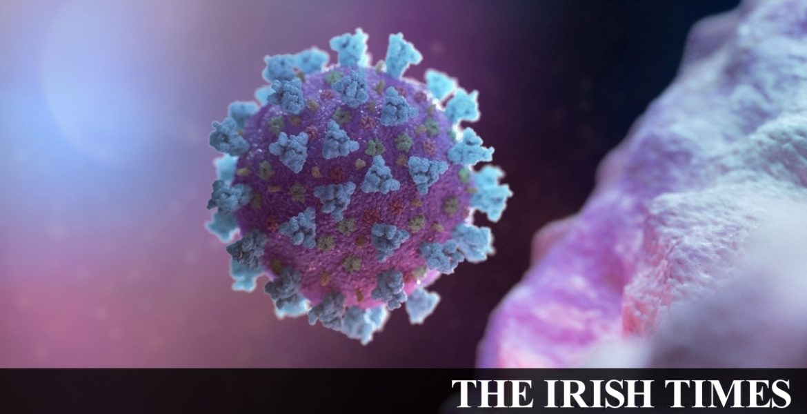 Coronavirus: Dublin City Council continues social housing works