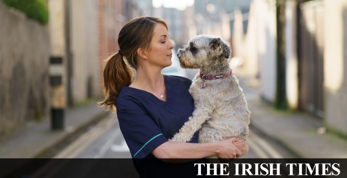 A dog is not just for Christmas, it’s for a Covid-19 pandemic