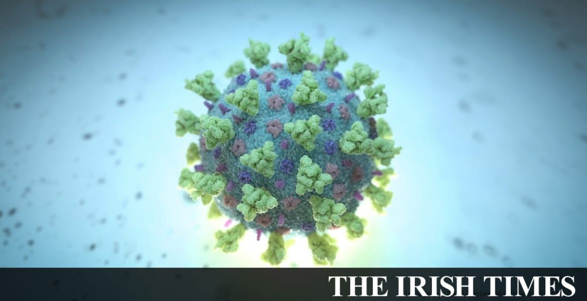 Coronavirus infection widespread in Dublin nursing home – internal memo