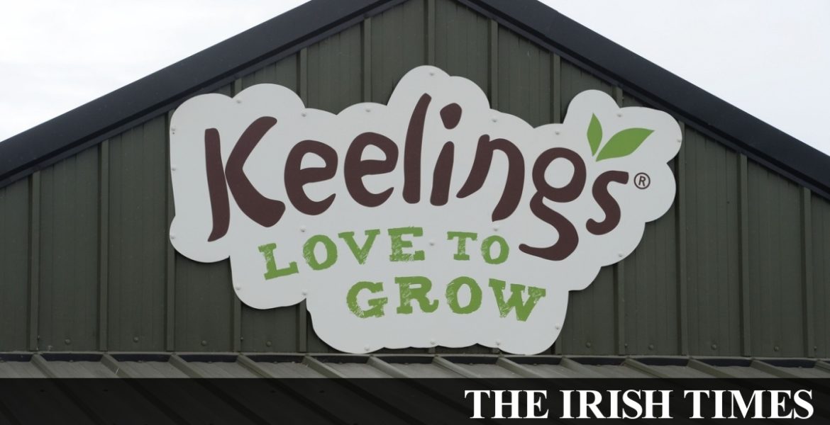 Taoiseach orders review of rules for foreign workers following arrival of fruit pickers