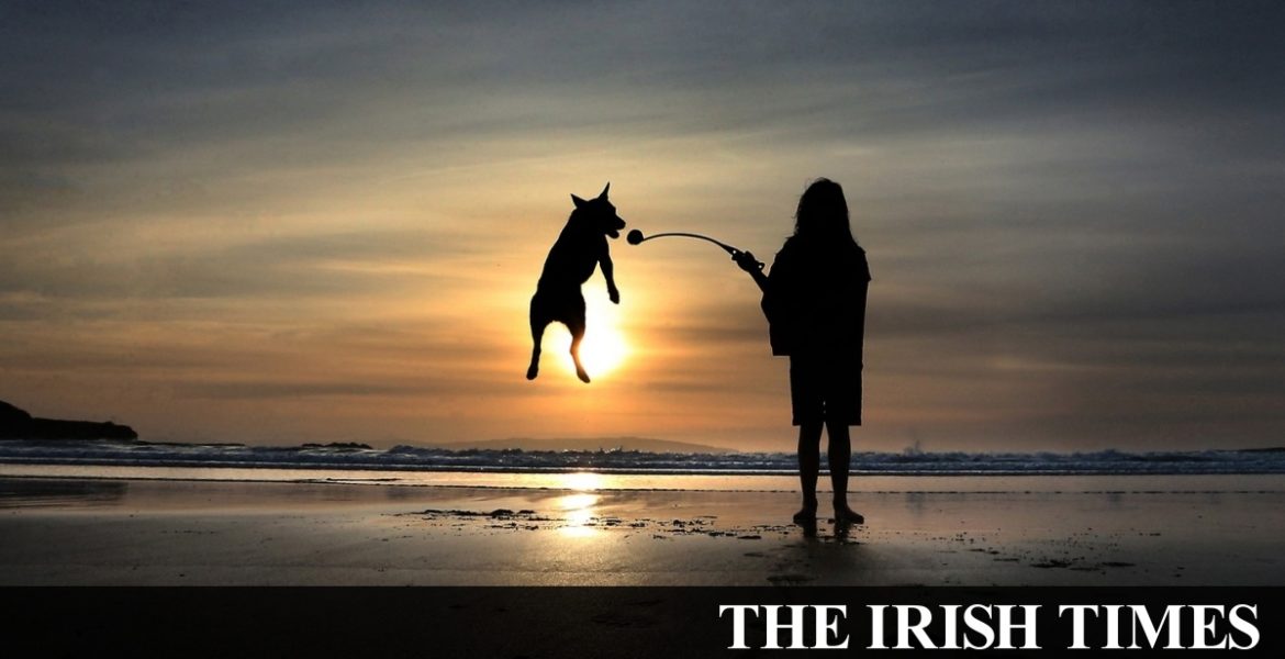 Ireland may endure repeated waves of Covid-19 epidemics